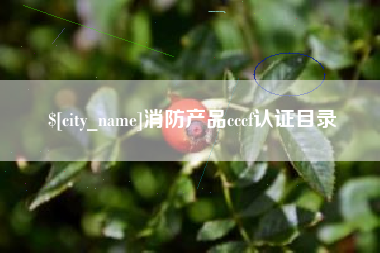 楚雄消防产品cccf认证目录