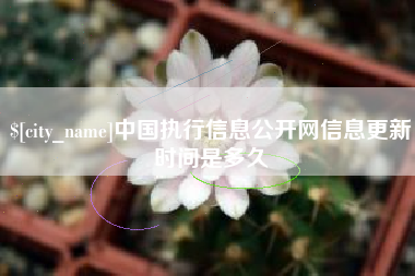 楚雄中国执行信息公开网信息更新时间是多久