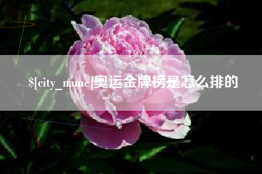 楚雄奥运金牌榜是怎么排的