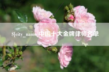 楚雄中国十大金牌律师名单