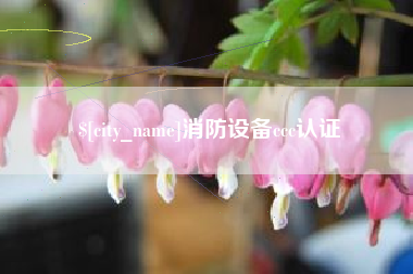楚雄消防设备ccc认证