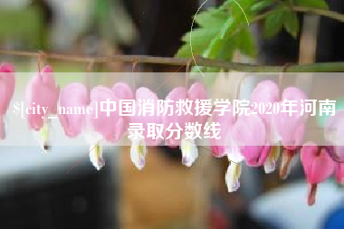 楚雄中国消防救援学院2020年河南录取分数线