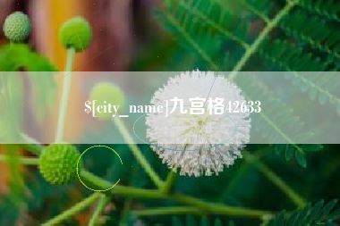 楚雄九宫格42633