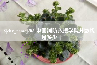 楚雄2021中国消防救援学院分数线是多少
