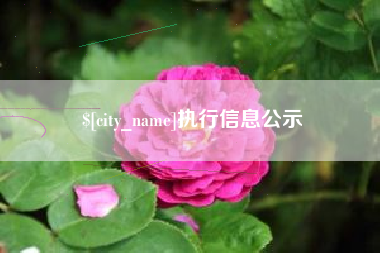 楚雄执行信息公示
