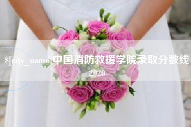 楚雄中国消防救援学院录取分数线2020