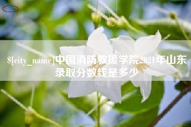 楚雄中国消防救援学院2021年山东录取分数线是多少