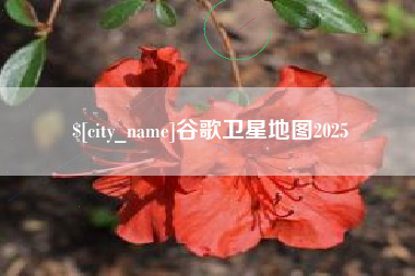 楚雄谷歌卫星地图2025