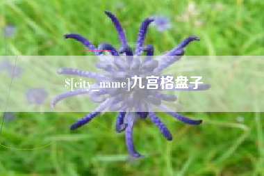 楚雄九宫格盘子