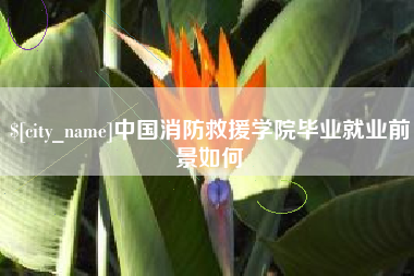 楚雄中国消防救援学院毕业就业前景如何