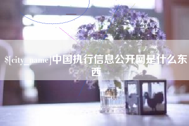 楚雄中国执行信息公开网是什么东西