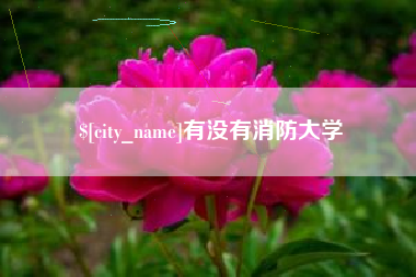 楚雄有没有消防大学