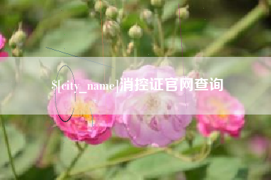 楚雄消控证官网查询