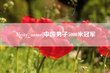楚雄中国男子5000米冠军