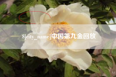 楚雄中国第九金回放