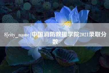 楚雄中国消防救援学院2021录取分数