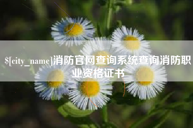 楚雄消防官网查询系统查询消防职业资格证书