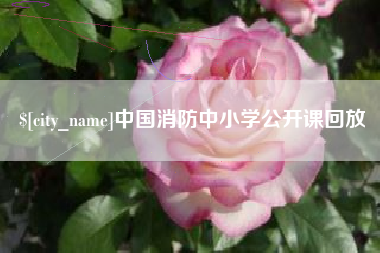 楚雄中国消防中小学公开课回放