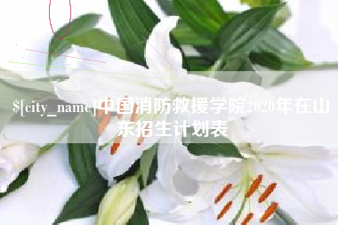 楚雄中国消防救援学院2020年在山东招生计划表