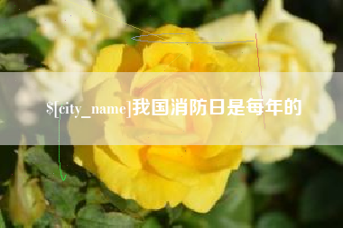 楚雄我国消防日是每年的