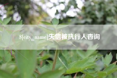 楚雄失信被执行人杳询