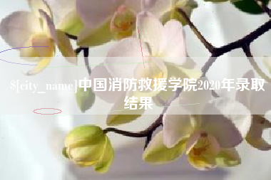 楚雄中国消防救援学院2020年录取结果