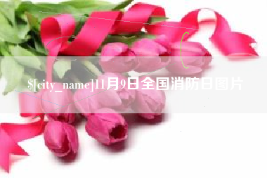 楚雄11月9日全国消防日图片