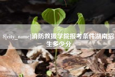 楚雄消防救援学院报考条件湖南招生多少分