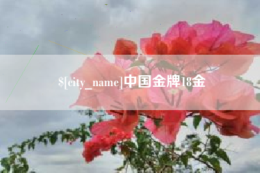 楚雄中国金牌18金