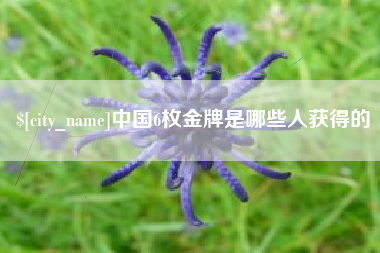 楚雄中国6枚金牌是哪些人获得的