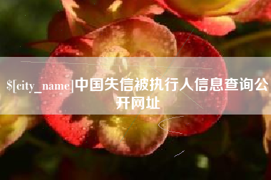 楚雄中国失信被执行人信息查询公开网址