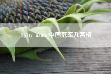 楚雄中国冠军九宫格