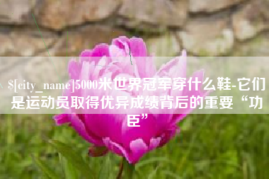 楚雄5000米世界冠军穿什么鞋-它们是运动员取得优异成绩背后的重要“功臣”