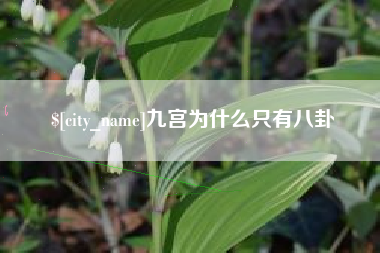楚雄九宫为什么只有八卦