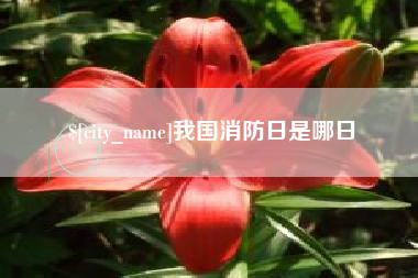 楚雄我国消防日是哪日