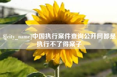 楚雄中国执行案件查询公开网都是执行不了得案子
