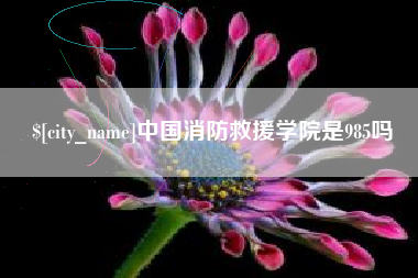 楚雄中国消防救援学院是985吗