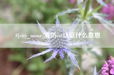 楚雄消防ccc认证什么意思
