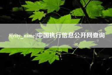 楚雄中国执行信息公开网查询