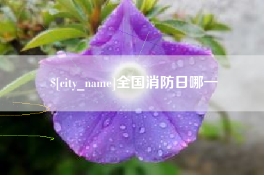 楚雄全国消防日哪一