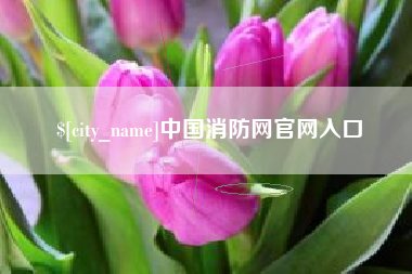 楚雄中国消防网官网入口