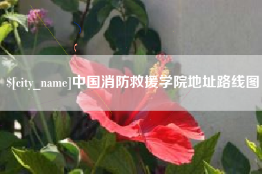 楚雄中国消防救援学院地址路线图