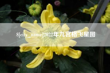 楚雄2022年九宫格飞星图
