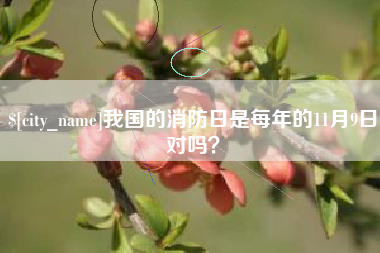 楚雄我国的消防日是每年的11月9日对吗？