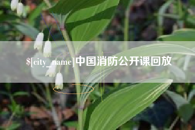 楚雄中国消防公开课回放