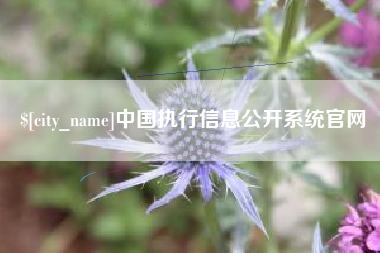 楚雄中国执行信息公开系统官网