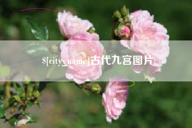 楚雄古代九宫图片