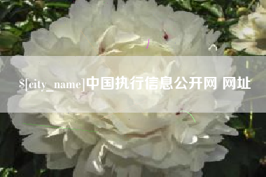 楚雄中国执行信息公开网 网址
