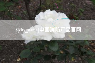 楚雄中国消防产品官网