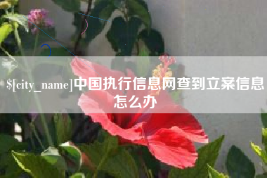 楚雄中国执行信息网查到立案信息怎么办